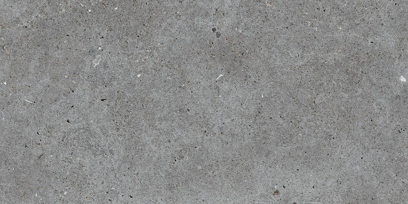 Stone Basel Grafito Matte 12x24 Porcelain  Tile