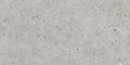 Stone Basel Gris Matte 24x48 Porcelain  Tile