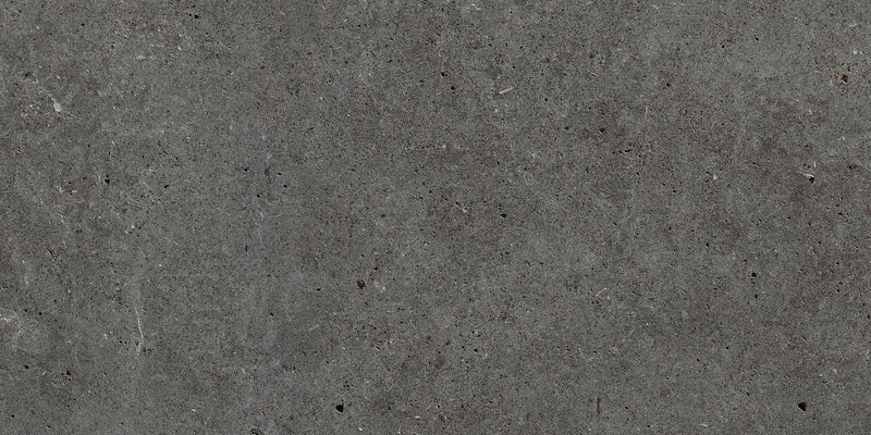 Stone Basel Negro Matte 12x24 Porcelain  Tile