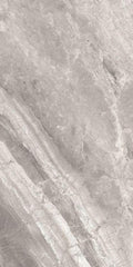 Supreme Silver Naturale Matte 24x48 Porcelain  Tile