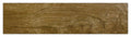 Taren Amber 8.6x36 Porcelain  Tile