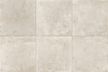 The Rock Ivory 24x24 Porcelain  Tile