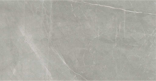 Timeless Amani Grey 12x24 Porcelain  Tile