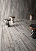 Tipos Silver Matte 12x24 Porcelain  Tile