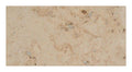 Trace Amber Gold 12x24 Porcelain  Tile