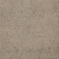 Trace Fossil Grey 18x18 Porcelain  Tile