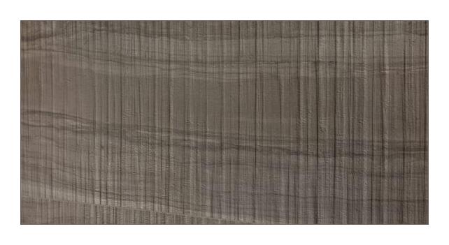 Travel Amazonian Bark 12x24 Porcelain  Tile