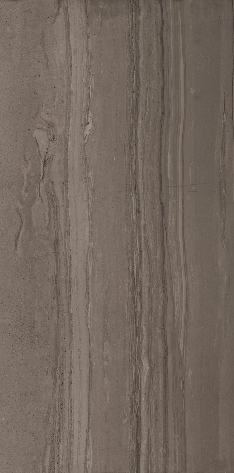 Travel Amazonian Bark 18x36 Porcelain  Tile