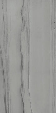 Travel Indian Ash 12x24 Porcelain  Tile