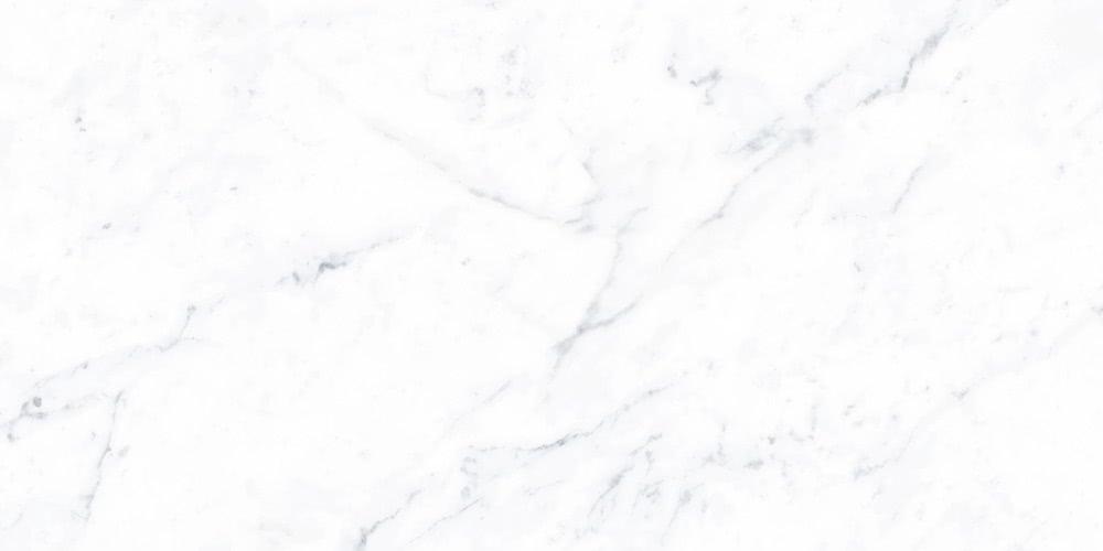 Vallelunga Porcelain Carrara 12x24 Tile — Solidshape