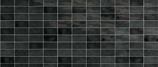 Village Black Glossy 2.5x8 Ceramic  Tile