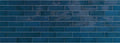 Village Royal Blue Glossy 2.5x8 Ceramic  Tile