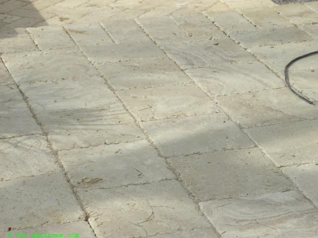 Walnut Travertine Paver 4x12 Brushed   5 cm