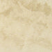 Walnut Travertine Tile 24x24 Filled, Honed