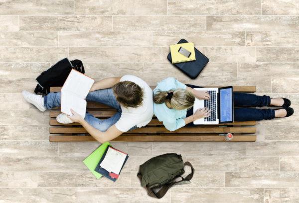 Yukon Light 6x36 Porcelain  Tile