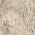 Yukon Sun 6x36 Porcelain  Tile