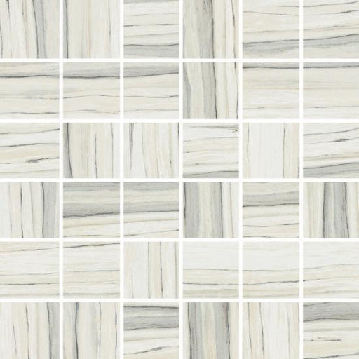 Zebrino Calacatta 2x2 Square Matte Porcelain  Mosaic