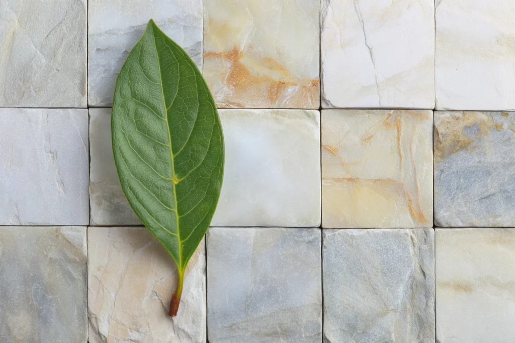 Close-up of mismatched discontinued tiles artfully arranged with a green leaf to signify waste reduction