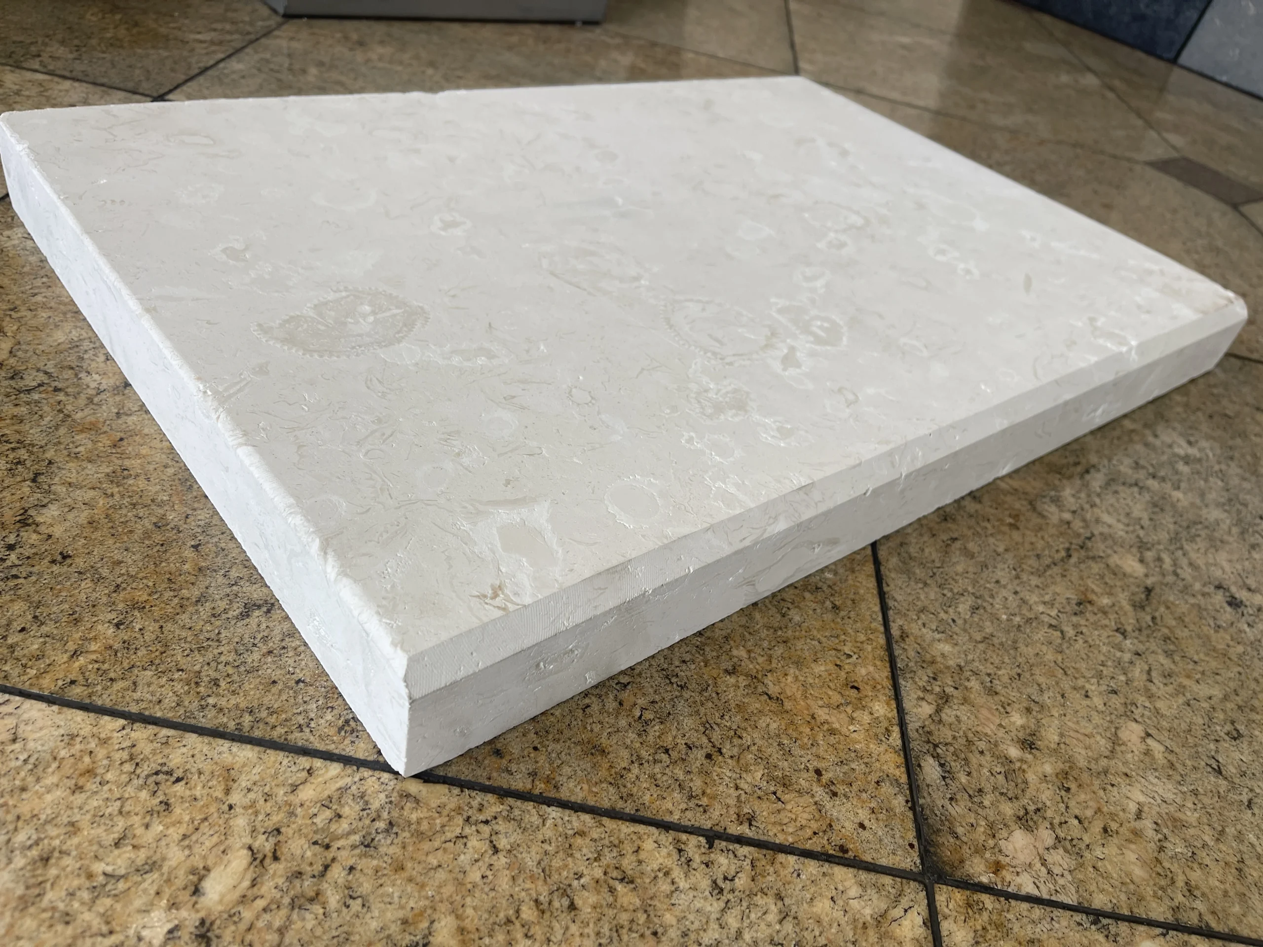 Cardinal Beige Pool Coping Modern Eased Edge 16x24 Limestone Pool Coping