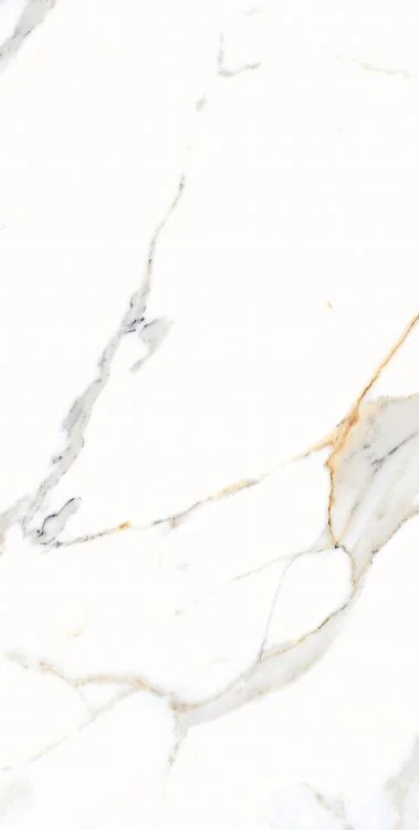 AGL Apia Orange 12x24 Matte Porcelain Tile