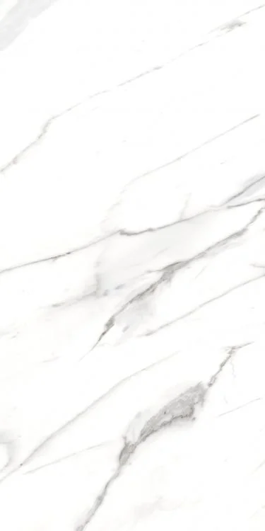 AGL Carrara 24x48 Polished Marble Look Porcelain Tile