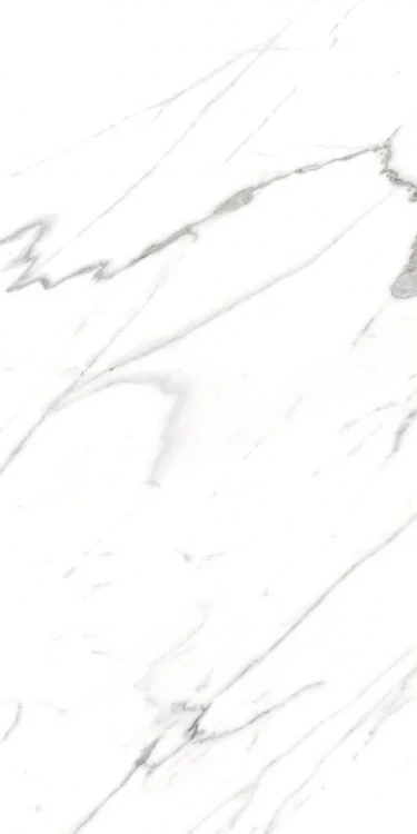 AGL Carrara 24x48 Polished Marble Look Porcelain Tile