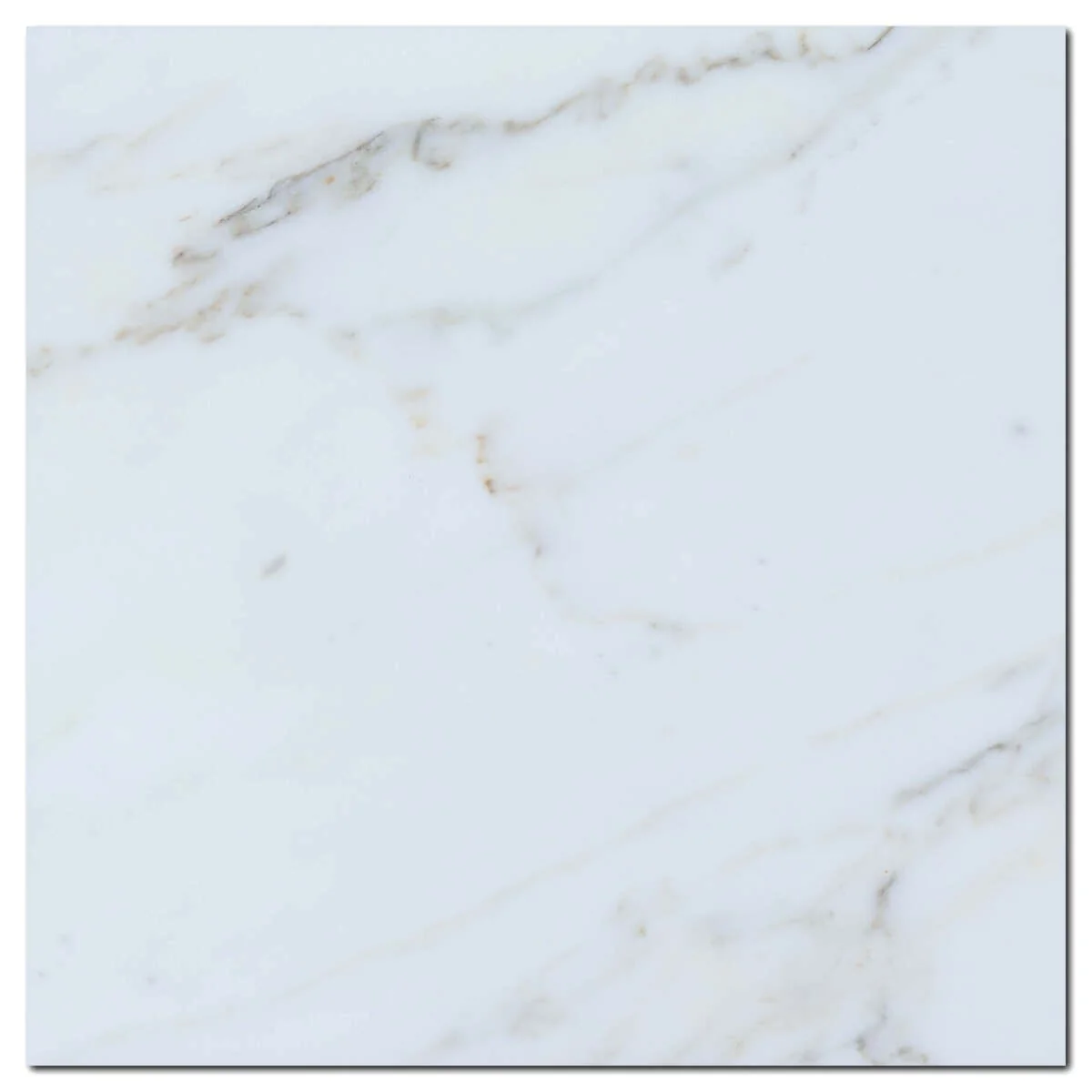 Calacata Gold 12x12 Honed Veined Marble Tile