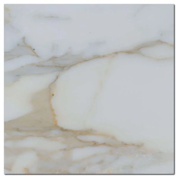 Calacata Gold 12x12 Polished Veined Marble Tile