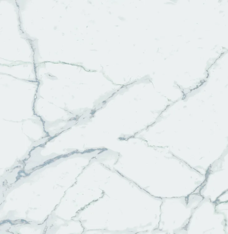 Carrara Premium 24x24 Pre Polished Marble Look Porcelain Tile