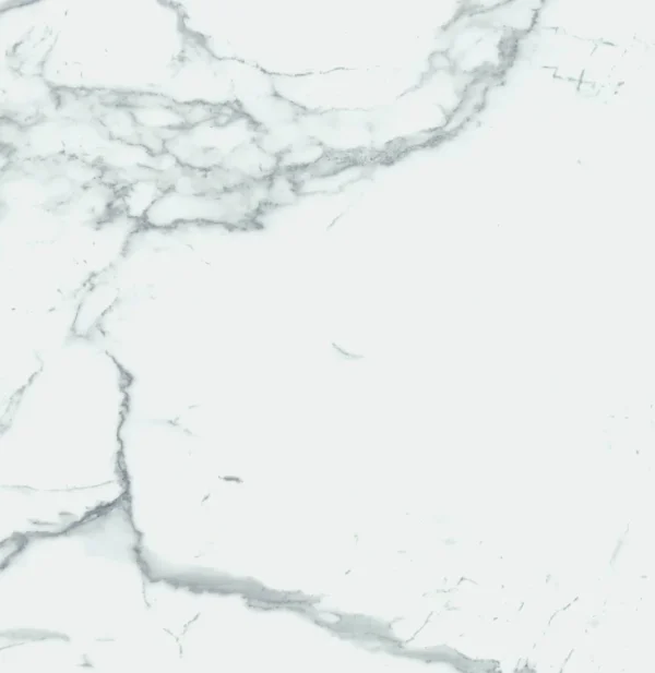 Carrara Premium 24x24 Pre Polished Marble Look Porcelain Tile