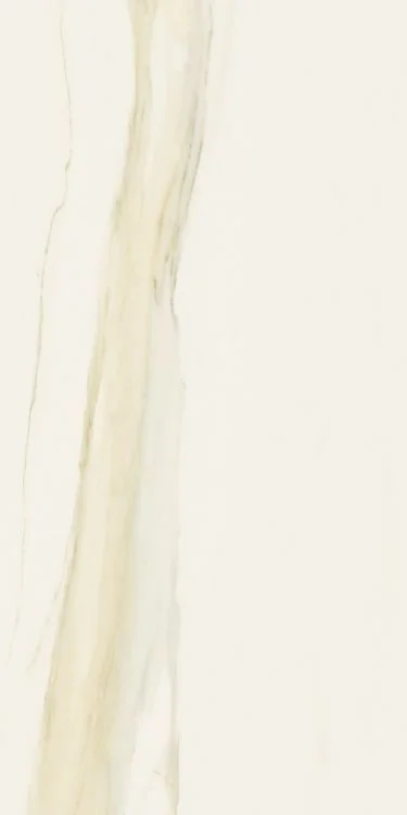 Classici Calacatta Gold 12x24 Matte Marble Look Porcelain Tile