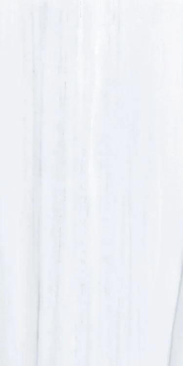 Dolomite Supreme 12x24 Polished Marble Look Porcelain Tile