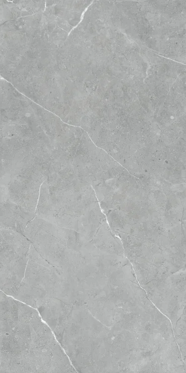 Lava Natural Grey 24x48 Matte Stone Look Porcelain Tile