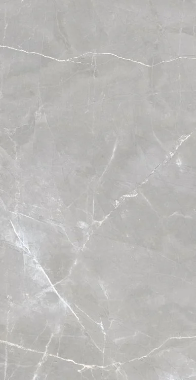 Luxury Amani Grey 24x48 Polished Porcelain Tile