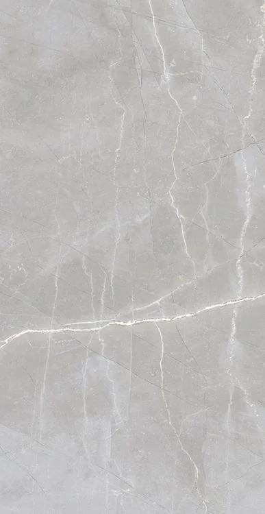 Luxury Amani Grey 24x48 Polished Porcelain Tile