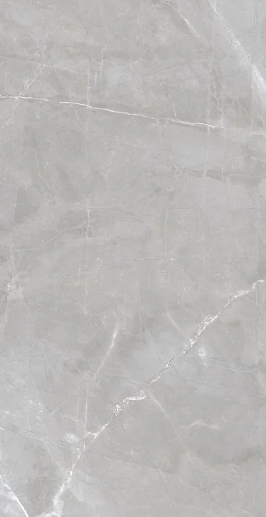 Luxury Amani Grey 24x48 Polished Porcelain Tile