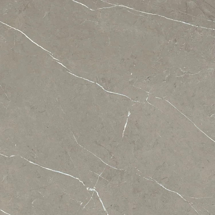 Mountain Mount Grey 24x24 Matte Porcelain Tile