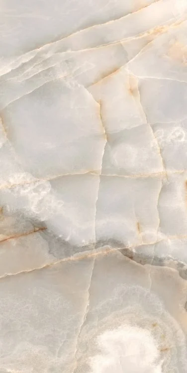 Reves Noisette 24x48 Glossy Porcelain Tile