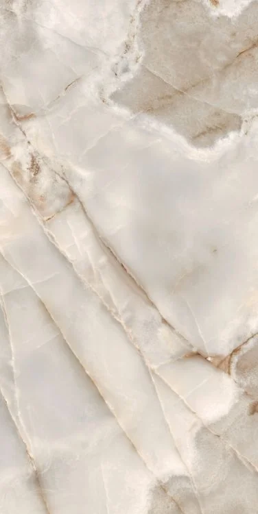 Reves Noisette 24x48 Glossy Porcelain Tile