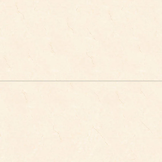 Shandar Crema Marfil Light 24x48 Polished Ceramic Tile