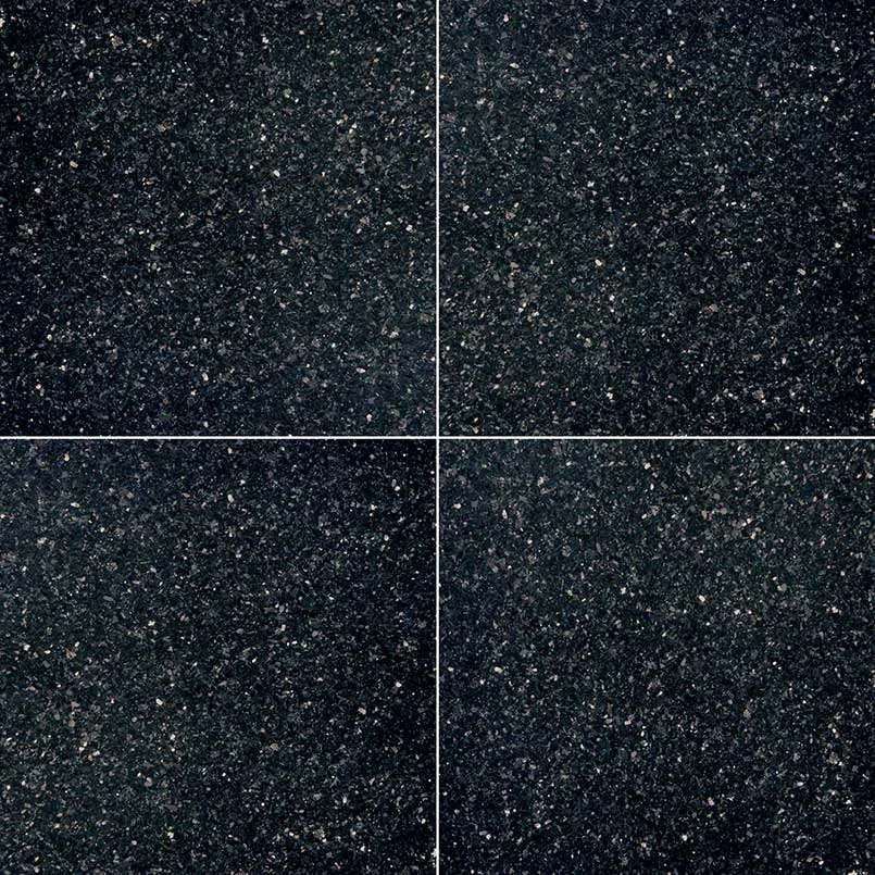 Black Galaxy 18x18 Polished Granite Tile