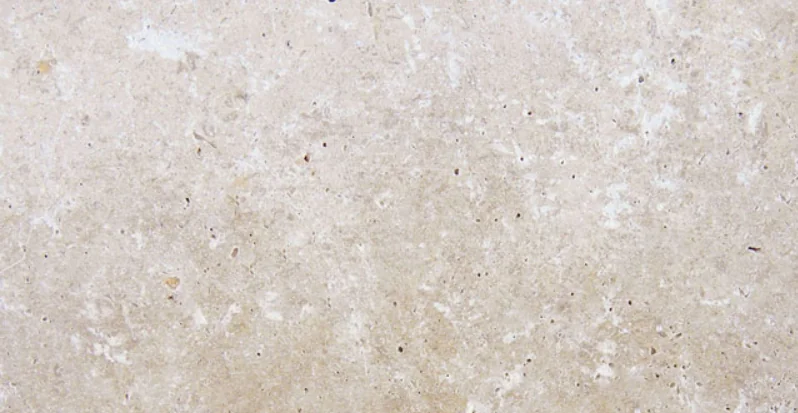 English Walnut 12x24x2 Unfilled & Honed Beveled Travertine Pool Coping