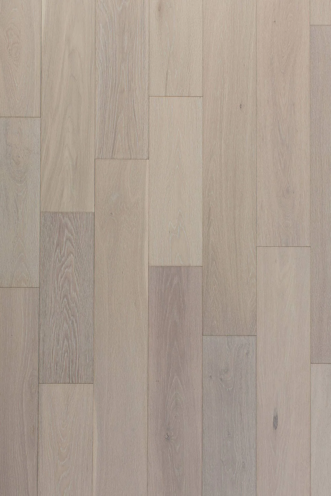 Pacific Coast Santa Rosa 5xRL (up to 48) 1.5mm Hardwood Plank Flooring