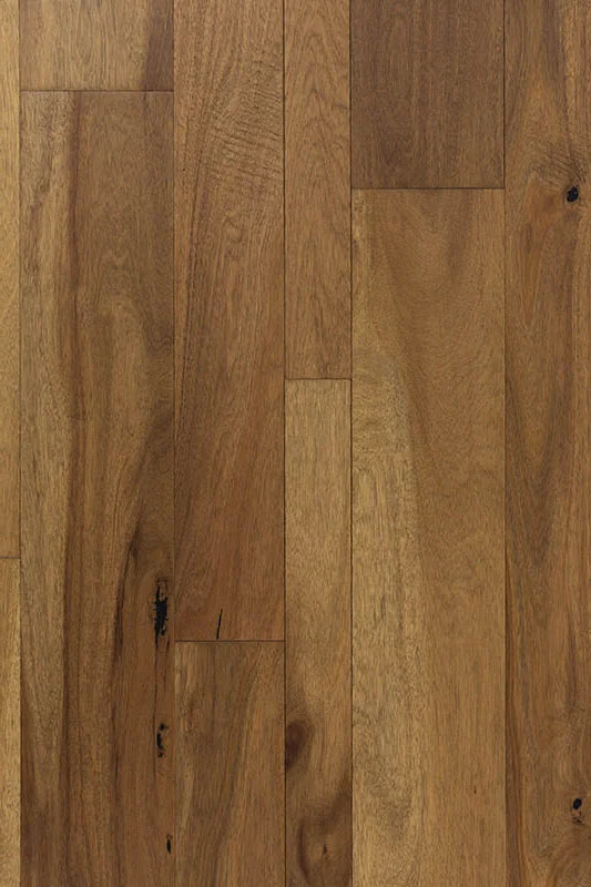 Westwind Dublin 3, 5, 7xRL (up to 48) 1.5mm Acacia Engineered Hardwood Flooring